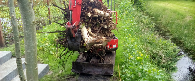 Bomen rooien