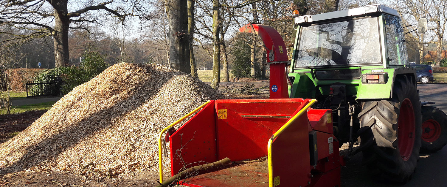 Projecten Bomen rooien